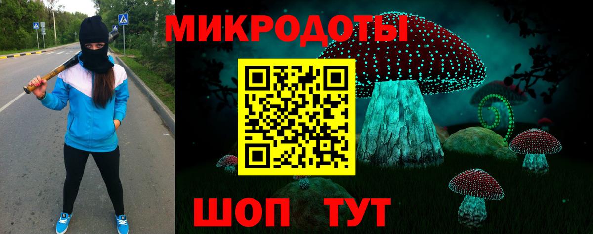 Псилоцибиновые грибы мухоморы  Вход с VPN  Галлюциногенные грибы Magic Shrooms  купить  сайты  Новосибирск 
